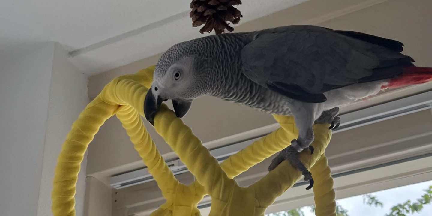 Guusje tijdens haar kuur met vitamine D