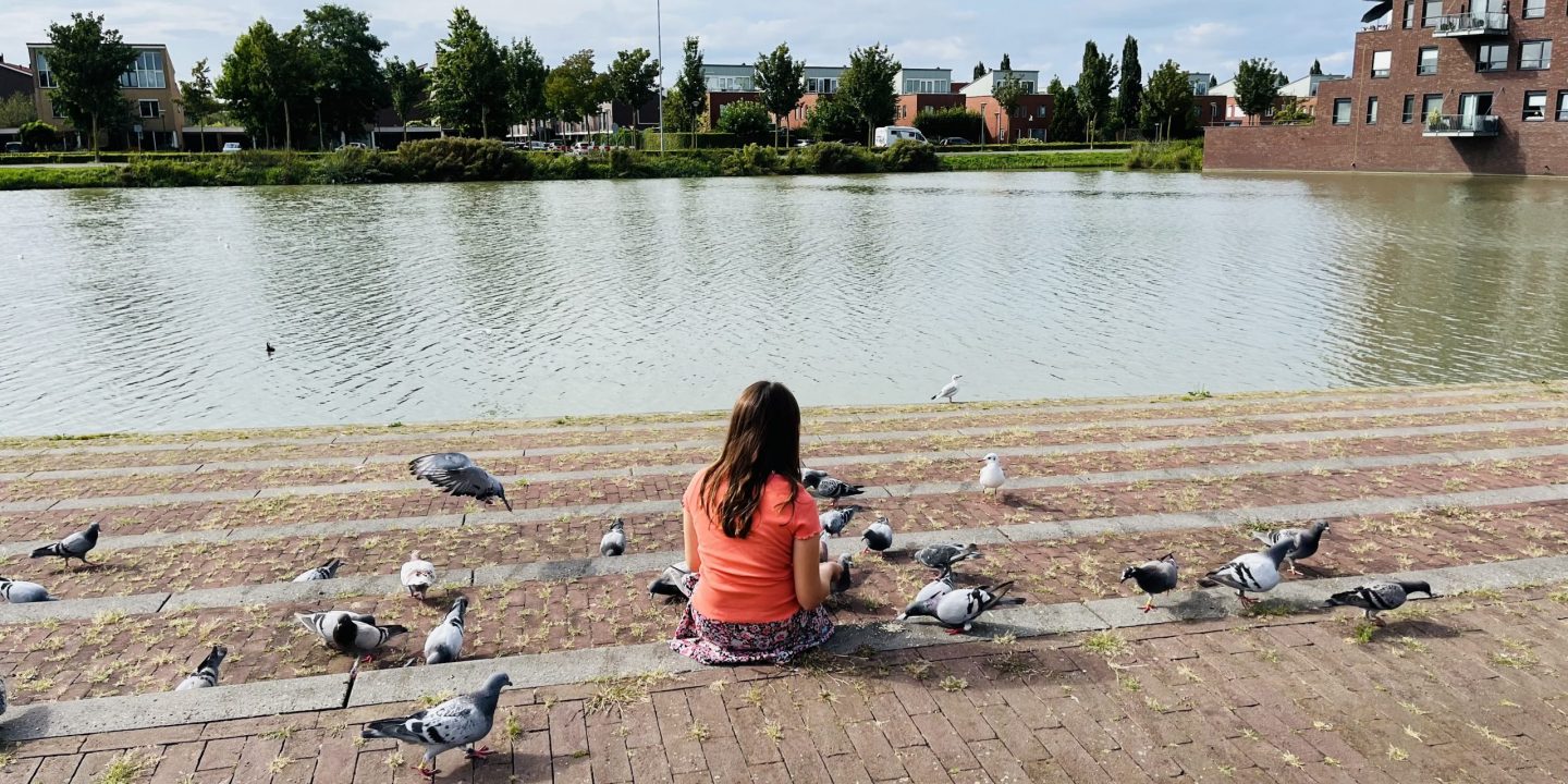 Meeuwen aan de waterkant