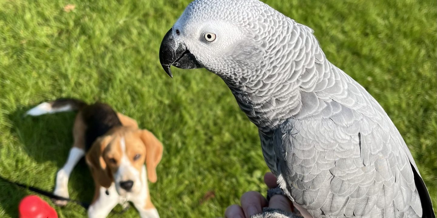 Guusje & Sam