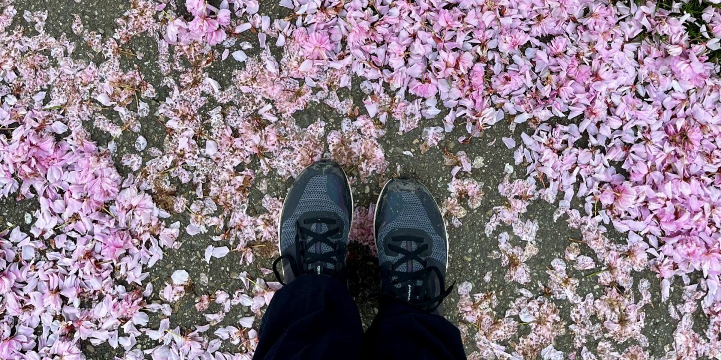 weekblog
