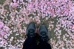 weekblog