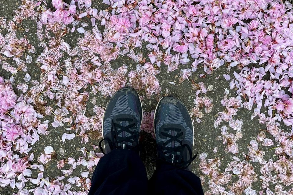 weekblog