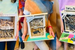 insectenhotel timmeren
