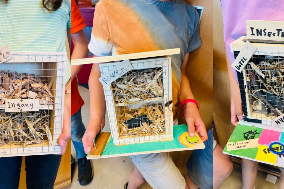 insectenhotel timmeren